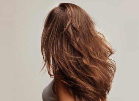 Cheveux brun